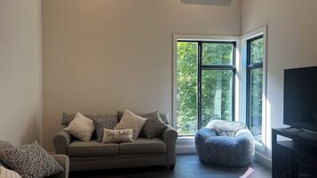 Smart TV, fireplace, music library, stereo