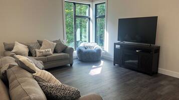 Smart TV, chimenea, biblioteca musical y estéreo