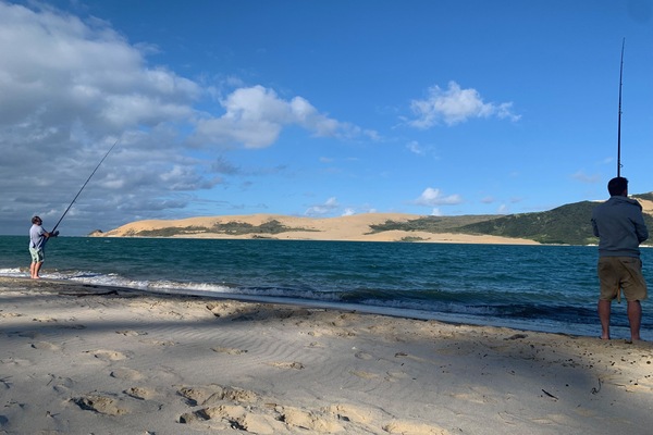 Playa en los alrededores y camastros