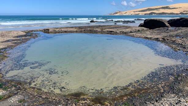 A rocky beach with clear water and distant hills. - The Green Bach opposite beach- quirky and great for groups and families (Ōmāpere)