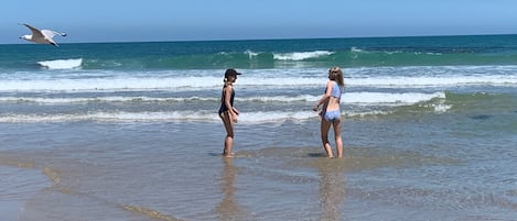 Playa en los alrededores y camastros