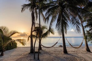 On the beach - Villa Mariola, Tulum – Beachfront • Chef Included (Tulum)
