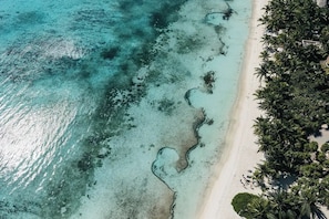 在海滩