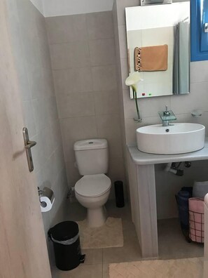 Bañera con ducha, bañera profunda, toallas, jabón