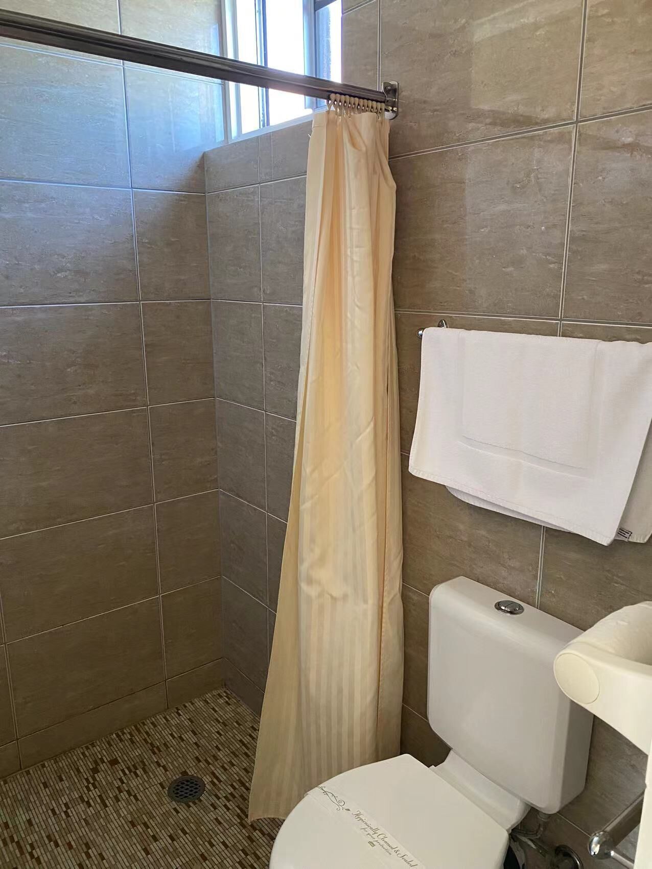 A bathroom with a shower curtain, a toilet, and a towel rack.