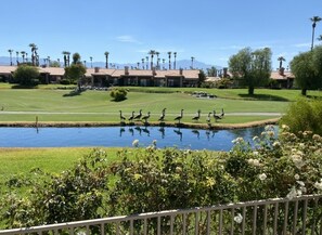 A golf course with a pond, palm trees, and a building with a red roof in the background. - Refreshed Waterfront Desert Escape end unit on Golf Course facing West (Palm Desert)