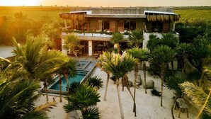 Uma villa moderna com piscina e palmeiras.
