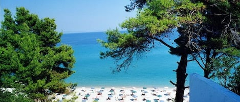 Plage à proximité, sable blanc, chaises longues, parasols