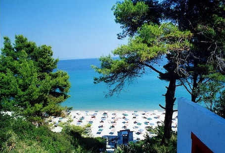 ๊ทผ์ฒ ํด๋ณ, ๋ฐฑ์ฌ์ฅ, ์ผ๊ด์ ์์, ๋น์น ํ๋ผ์