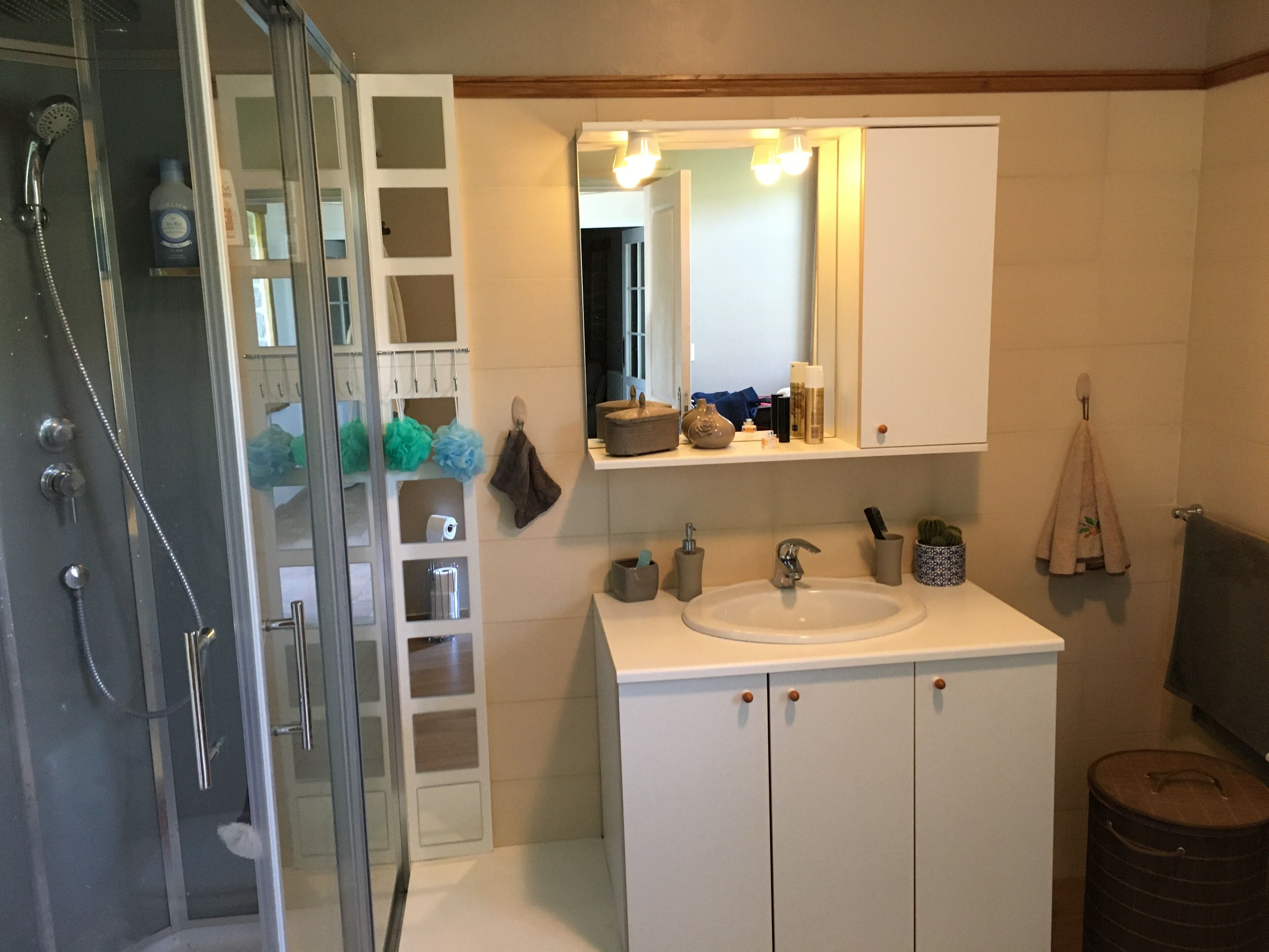 A bathroom with a glass shower enclosure, a sink, a mirror, and a vanity with storage cabinets.