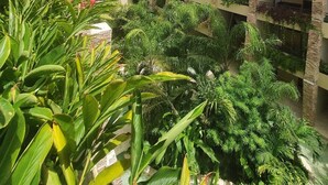 A multi-story building with balconies, surrounded by lush greenery and a clear sky. - Syren 401 (Playa del Carmen)