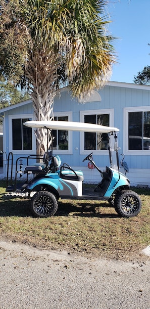 A golf cart parked in front of a house with a palm tree.