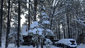 A cabin surrounded by snow-covered trees. - Camelia's cabin (Pinetop)