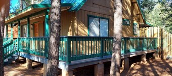 Camelia's cabin
