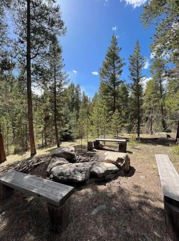 Surrounded by tall pine trees, this serene outdoor space features a rustic picnic table and benches, a natural fire pit, and a peaceful atmosphere perfect for relaxation or social gatherings.