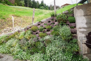 Ein Garten mit einer Steinmauer, verschiedenen Pflanzen und einem Holzzaun.