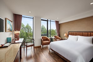 Superior Room, 1 Queen Bed, City View | View from room