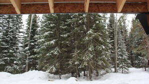 A wooden structure with a view of snow-covered trees. - Magical Off grid Lakefront Cabin (Lone Butte)