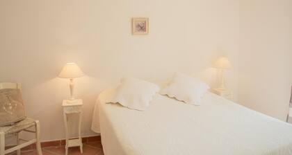 Provencal villa with private pool, near Cotignac