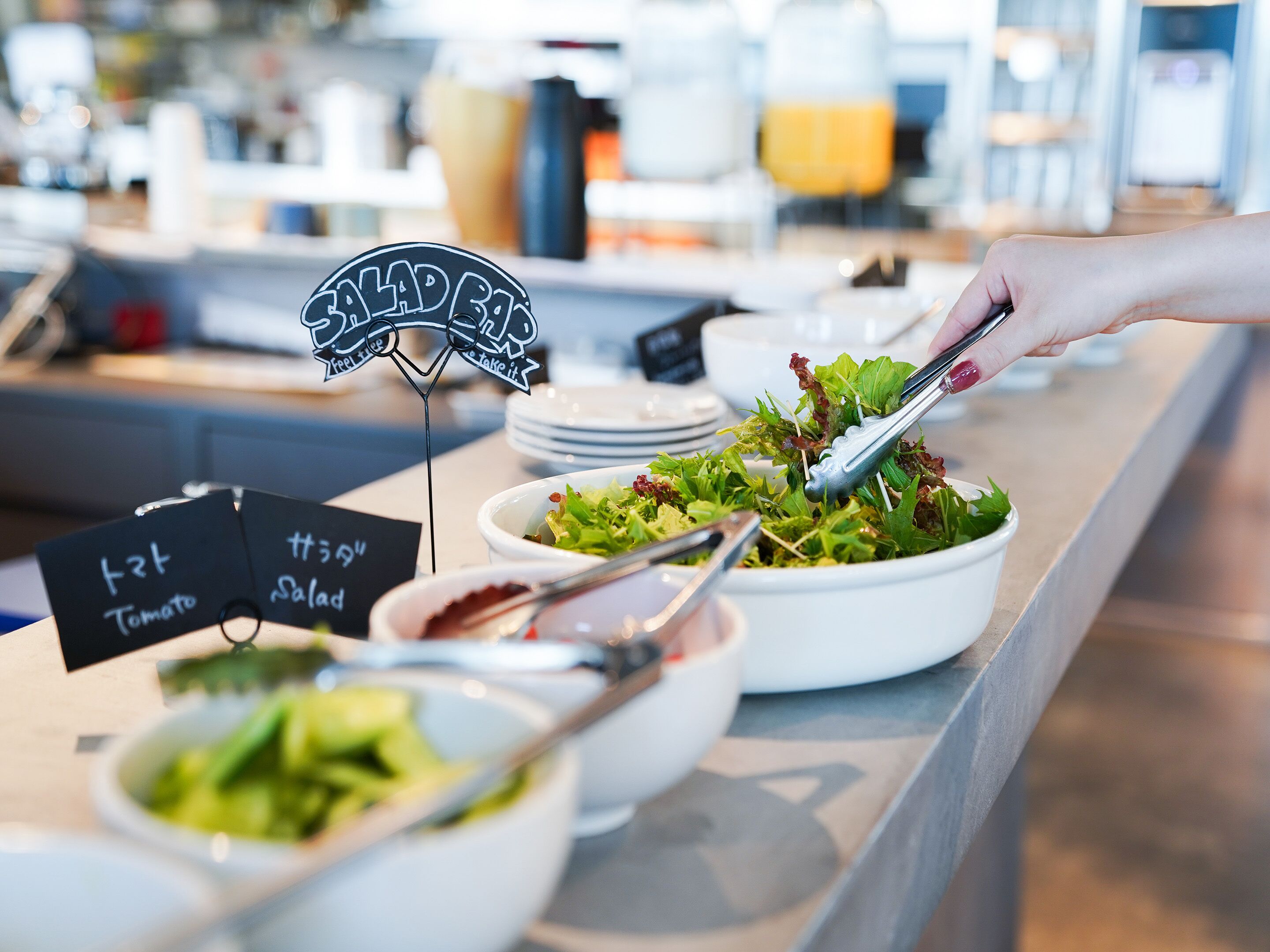 A salad bar with various greens and a sign indicating 'Tomato Salad'.