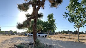 A parking lot with a white car, a palm tree, and a stone wall.