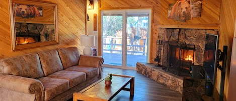 Smart TV, fireplace, books