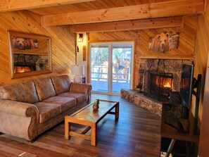 Smart TV, fireplace, books