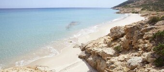 Cozy apartment surrounded by greenery and within walking distance of the sea.