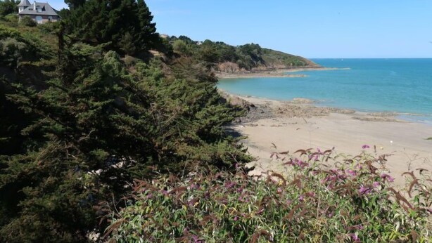 Eine Küstenlandschaft mit Sandstrand, üppiger Vegetation und einem Haus im Hintergrund.