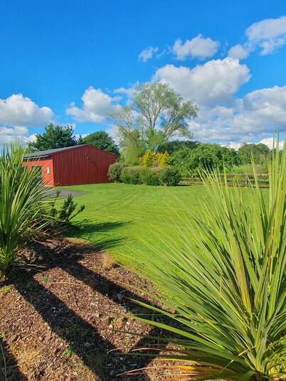 The Red Shed
Large modern studio on two peaceful acres, two minutes from CBD