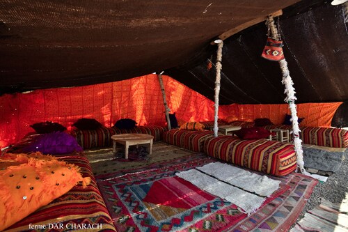 luxury tent in a Farm
