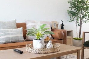 Fernseher, Arbeitsbereiche