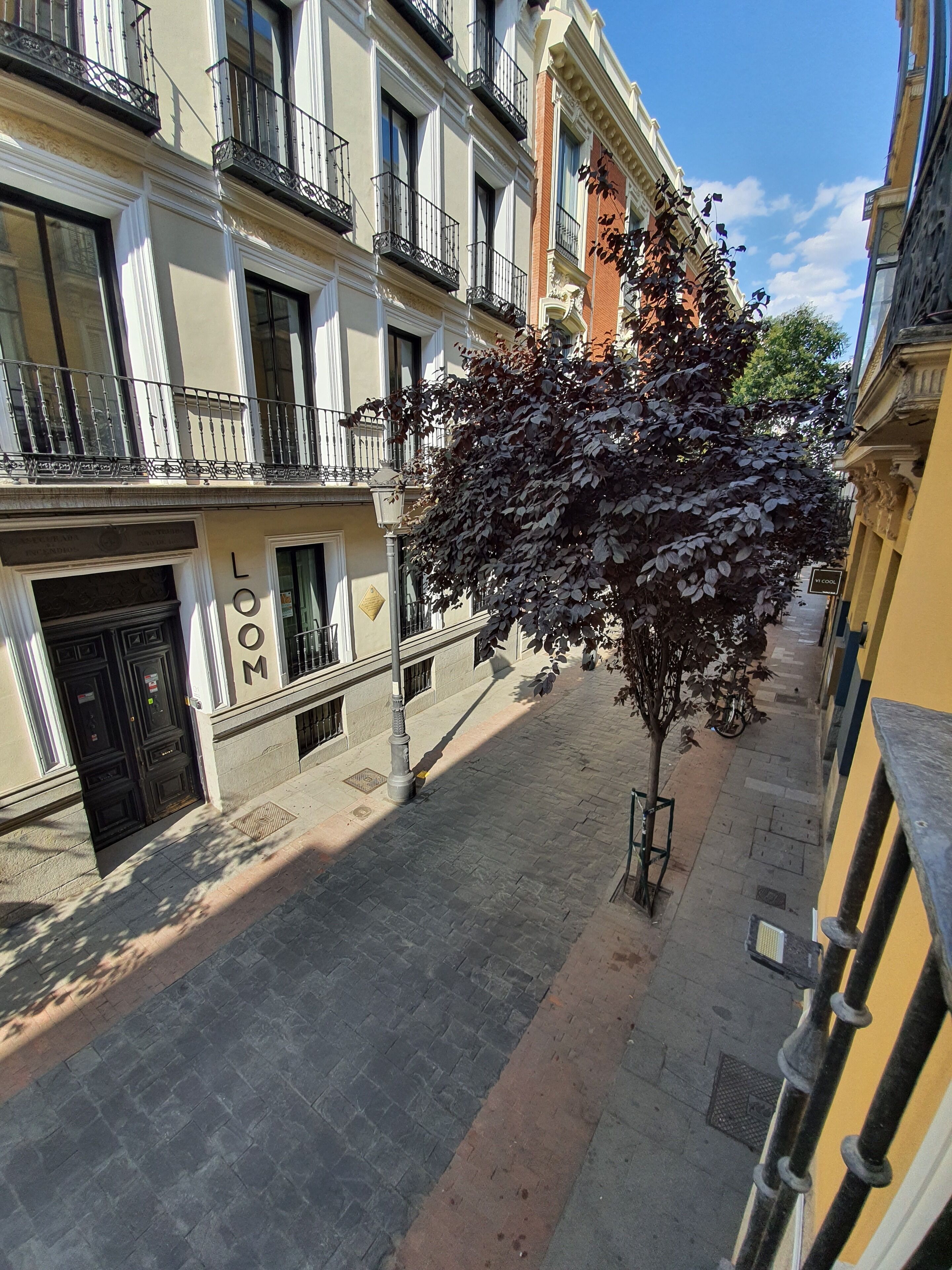 A narrow urban street with buildings featuring balconies and a tree in the middle.