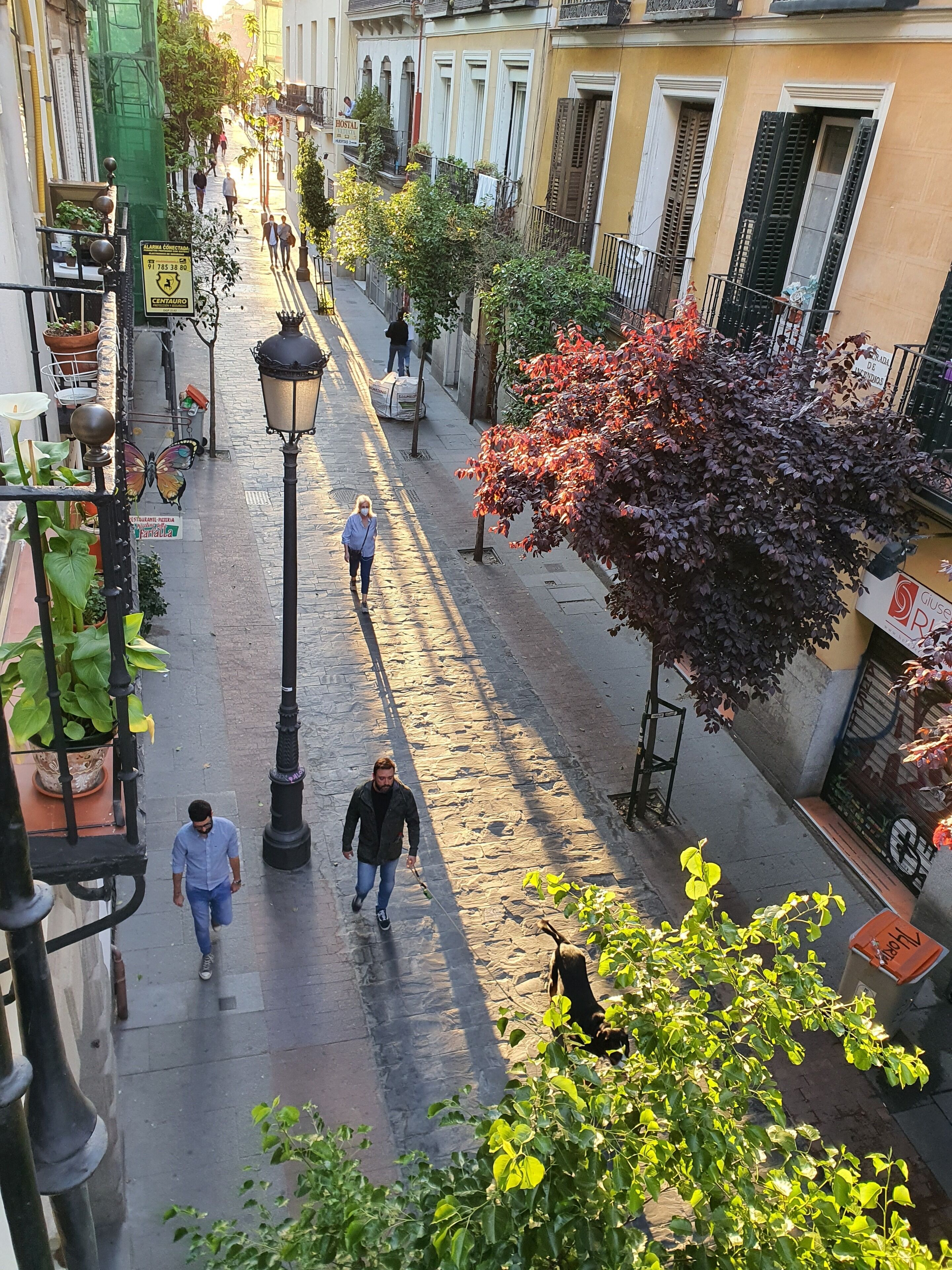 A narrow cobblestone street lined with buildings, some with balconies and potted plants.
