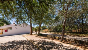 A modern house with a white exterior, surrounded by trees and a gravel driveway. - Private Vale do Lobo resort with soccer pitch for 51 people (Almancil)