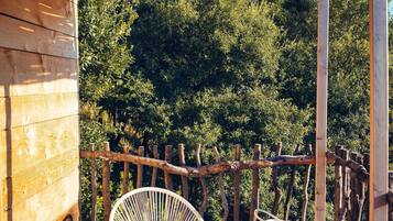 Terras