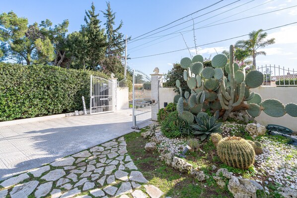 A paved pathway leading to a gated entrance, surrounded by cacti and a hedge.