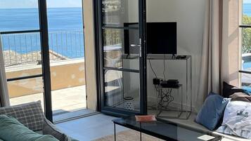 Télévision, cheminée, lecteur de DVD, livres