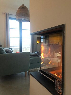 TV, fireplace, DVD player, books