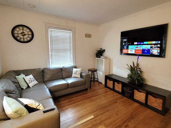 TV, fireplace, books, video library