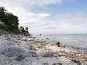 Un rivage rocheux avec une personne au loin, des arbres et un ciel dégagé.