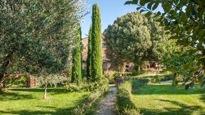 A garden with a gravel path, tall trees, and a building in the background. - 'La Ripa - Apartment Il Fienile' with Shared Pool & Wi-Fi (San Gimignano)