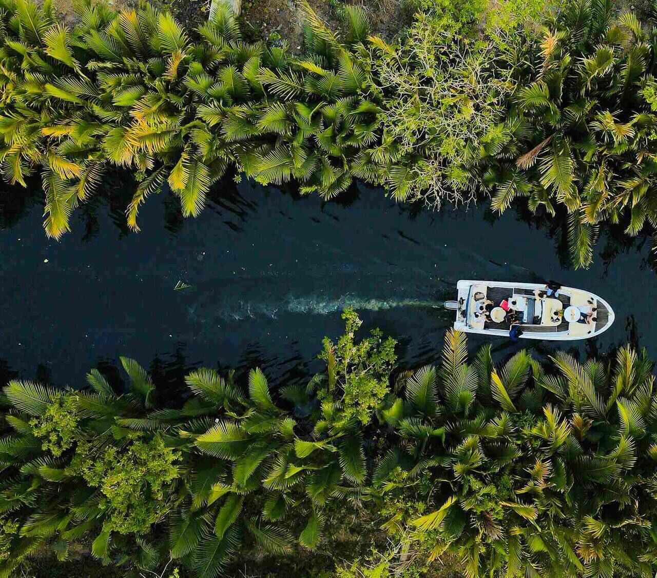 Una barca en un río rodeado de densa vegetación.