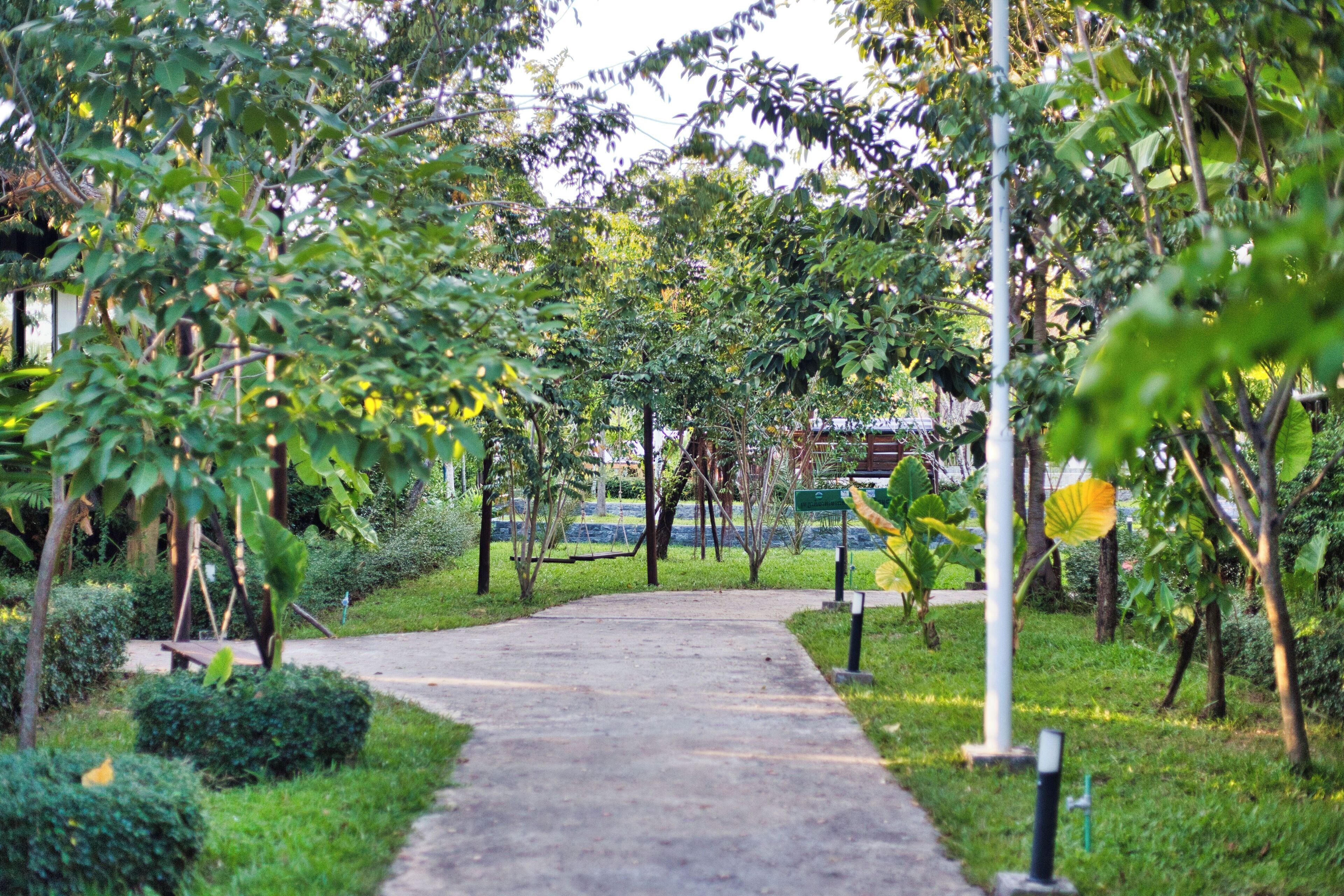 A pathway in a park with trees and greenery.