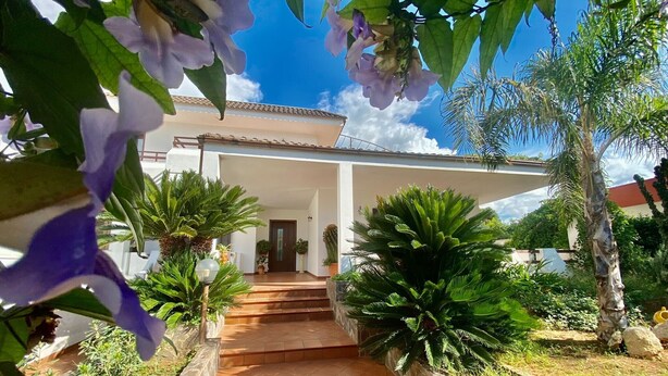 Une maison à l’extérieur blanc, avec un porche carrelé et un jardin où poussent différentes plantes, ainsi qu’un palmier.
