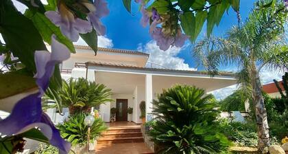 Villa "The Rosa's Luxury House" with Garden and Wi-Fi