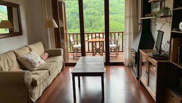 Tv, eldstad och en stereo