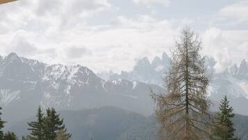 Ein Bett mit Blick auf Berge, einer Holzbalkendecke und einer bewaldeten Landschaft.