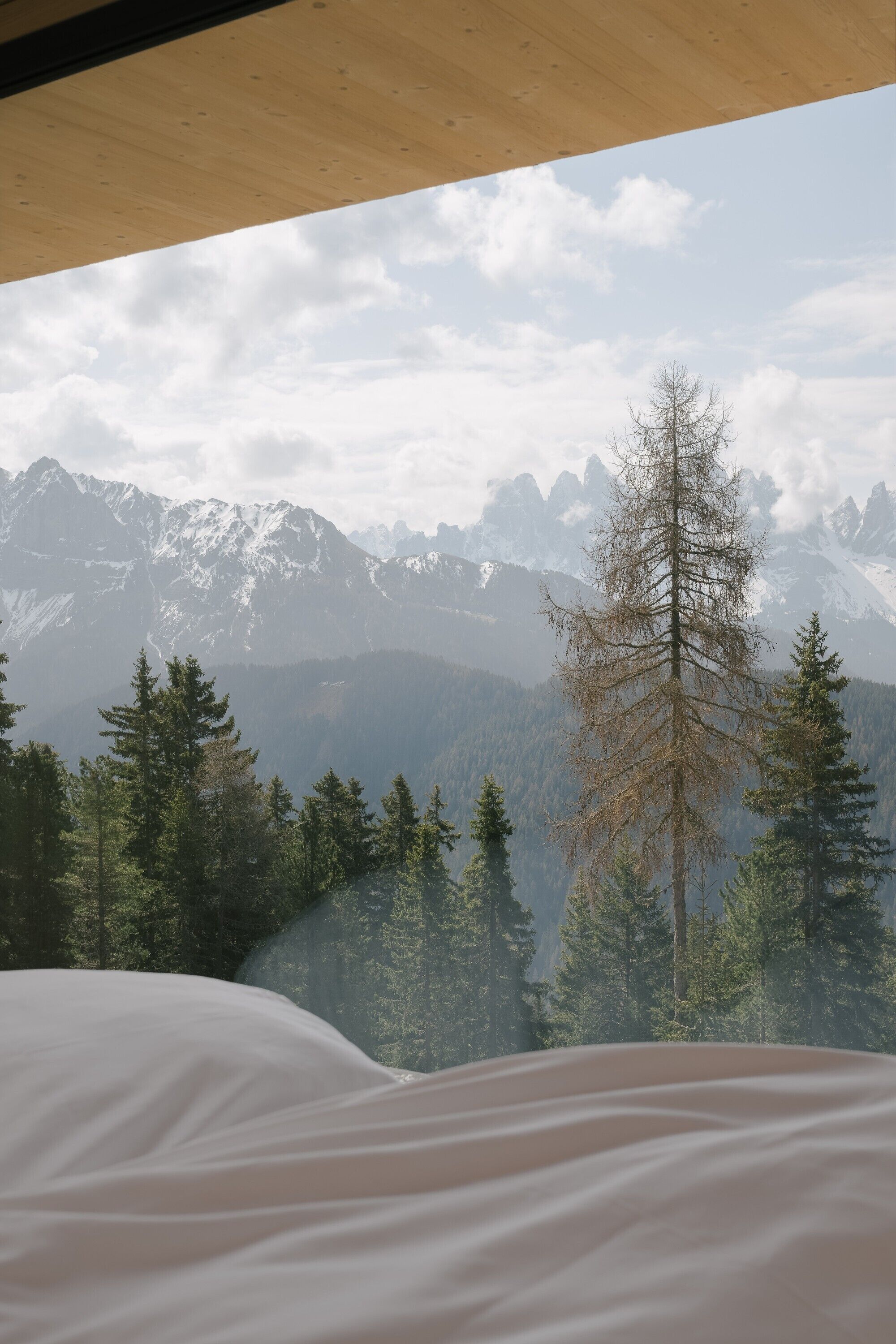 A bed with a mountain view, a wooden ceiling, and a forested landscape.