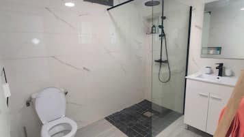 Douche, sèche-cheveux, serviettes fournies, papier toilette